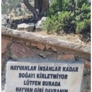Sevtap Parman Instagram - 