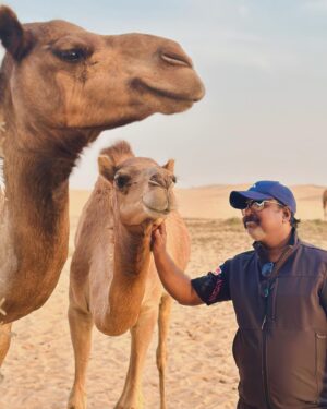 Shaiju Damodaran Instagram - Camel Caravan … 🐪more than 15 days തുള്ളി വെള്ളം കുടിക്കാതെ ( പരമ്പരാഗത വെള്ളമടി അല്ല ) മരുഭൂമിയിൽ ജീവിക്കാൻ കഴിയുന്ന ഒട്ടകം പഠിപ്പിക്കുന്നതാണ് ശരിക്കും survival of the fittest 🔥പാഠം . #travel #desert #experience #camel #survival #harsh #conditions #lifelessons #animal #respect #shipofdesert