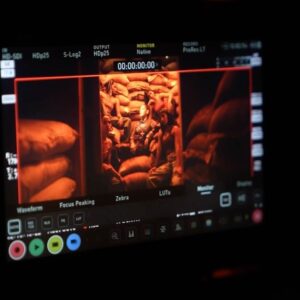 Shalmali Kholgade Instagram - Magic moments behind Mumbai Magic 🪄 ✨ 

#bts #musicvideo