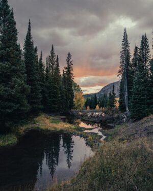 Shanley Caswell Instagram - fall was felt