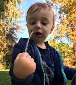 Shannon Lucio Instagram - My little explorer.  #hudson #exploring #littleman #scientistinthemaking #growingtoofast