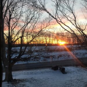 Shannon Lucio Instagram - My new 7 am view.

#sunrise #nofilter #abrandnewday #happytobehere #hellosunshine #coffeeplease