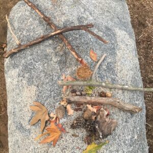 Shannon Lucio Instagram - My son’s art

#proudmom #natureart #busylittlehands #alwayscreating