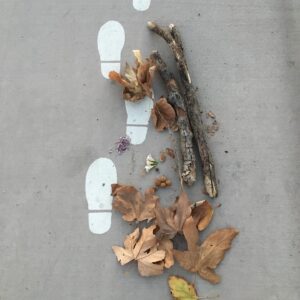 Shannon Lucio Instagram - My son’s art

#proudmom #natureart #busylittlehands #alwayscreating
