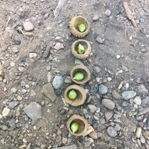 Shannon Lucio Instagram - My son’s art

#proudmom #natureart #busylittlehands #alwayscreating