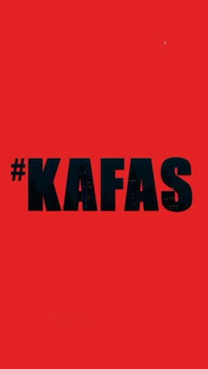 Sharman Joshi Instagram - Grateful for all the love we’ve been receiving. Keep the praises coming! ♥️✨

#Kafas streaming now on Sony LIV 

#KafasOnSonyLIV 

@sonylivindia @sonylivinternational @applausesocial @madibaent @sameern @segaldeepak @sahil_insta_sangha @sharmanjoshi @monajsingh @vivanbhathena_official @jhangianipreeti @mikail.gandhi @singhtejasvi #ZarinaWahab @castingchhabra @karandontsharma @garg.prasoon @rapra_02 @shreyakarunakaram @devnidhib @001danishkhan @amansrivas @saugatam