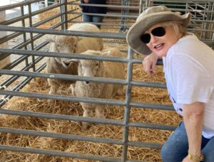 Sharon Gless Instagram - My Basque-immigrant ancestors raised thousands of sheep in the Los Angeles Valley  area 5 generations ago.  I think I met some distant cousins at the Orange County fair yesterday. The Gless girls!