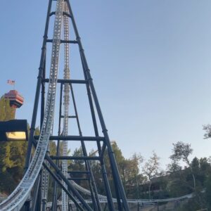 Shaun Dixon Instagram - I had so much fun with my bro @kaidoleeroberts at #magicmountainsixflags. #kidactors #industrykids #dharmannactors