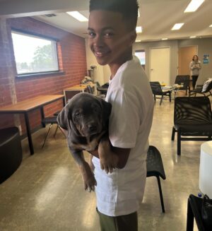 Shaun Dixon Instagram - Hanging out with @americanxlbullypuppies. #puppies#americanbully #workingdog #industrydog #setdogs