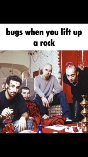 Shavo Odadjian Instagram - “May I please, remain in this space?” 🤣🤣🤣 
.
.
.
.
#systemofadown #darts #bugs #wednesdayvibes