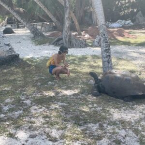 Sheila Vand Instagram - 💙Seychelles💙 a real life paradise. pics don’t even do it justice. such a magical place.