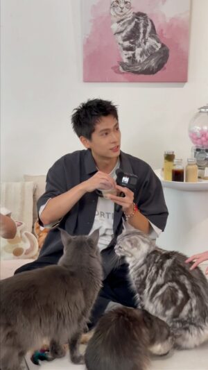 Shih Chih Tian Instagram - 國際抱貓日，男人的嘴，騙人的鬼