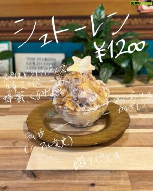 Shiki Aoki Instagram - ⚠️時差投稿です⚠️
もはやインスタが氷アカウントと化しそうですが、この日もソロ活行ってまいりました
#甘味処いちょうの木 @kontomoko さん🍧

まず私事で恐縮ですが、12月26日(火)19時から放送の#さんま御殿 年末特大4時間SPに出演させていただきます！
8月に出演させていただいたばかりだったので、すぐにまた呼んでいただけるとは思っておらず…(というか自己肯定感地面にめり込んでるので、絶対に二度と呼んでもらえないだろうなとか思ってた)
ありがたい限りです
青木に興味がない方も、かき氷から青木を知ってくださった方もよろしければ是非ご覧ください🙇
ちなみにこのさんま御殿の収録直前もいちょうさんでかき氷食べてました…🤤🙏思い出のかき氷になった…

ということでまたしても新作氷が発表されていたのですが、新作にいきたい気持ちをぐっとこらえてこの日は大好きなリピ氷責めでいく！と決めておりました
決意は揺らぐことなく(いや新作みてちょっと揺らいだけど)選んだ三杯はこちら

◆シュトーレン(23)
先日食べた時に味わった生姜スライスの衝撃をもう一度確かめに、初戦指名
①メレンゲとトップにかかったキラキラの謎のアレを動画に納めること
②生姜スライスは調味してあるのか否かを確かめること
の2点をマストオーダーに掲げ、いざ実食
キラキラの謎のアレは動画じゃ伝えきれない😭生で見ないとわからないファンシーさなんよ…(動画は1番最後に載せてます！)
この日は初めて食べた時よりしっかり胡桃を感じられてより一層味の深み増した感がありました
初回は生姜に意識持っていかれすぎてたから冷静に食べる為にもリピートは必要な行為なのかもしれない
肝心の生姜スライスですが、生姜だけピックアップしてなるべく味わって食べてみたんだけど…
僕のあまりあてにならない舌の感覚では調味してないかも？という印象でした！
そもそも何か味をつける為にソースに浸したりなんだりで手を加えたら、あのサクサク食感にはならないのかも？と思ったり
結局のところ調味しててもしてなくても美味いことに変わりなし🤤🙏
底がこの日は多分チョコソースっぽくて(違ったらすみません🙇)前回とは違って甘々なまま完食まで到達するので、
甘党なわいはめちゃくちゃ嬉しかった…🥹🫶
底が前回と同じでも美味しいのは勿論なんだけど、ノンアルお任せ変更だとこうやって底が変わることもあるからリピートはこういう喜びもあるんやね…

◆紫芋と玉葱ブルー(24)
続いて2杯目はもう何回連続で食うんや！というこちら
もう完全に中毒です、はい。
禁断症状で気がついたら毎日摂取したくなってるやべー氷
もうこいつの事はこれからやべー氷と呼んでいくことにする(わいの中でしか通用せんのよ☝️)
この日はめちゃくちゃ大きなブルーチーズの塊が入ってて、ひとりで勝手に大吉引いたぐらいテンション上がってました
ブルチの巨大塊…お前だけ愛する…
オリーブソースゾーンでほんのり塩気を感じつつ、
カマンベールカラメルのほろ苦甘さが最高の組み合わせ
正直嫁と並ぶくらい、こんなにもお前に夢中になるなんて思ってもみなかったぜ…🥹
特にこの日はゆっくり味わいながら食べました
この子も嫁も、いつかメニューからなくなる日が来るんだよね…
今当たり前の様に在る全ての存在は当たり前なんかじゃなくて、
今僕の日常の中に存在してくれることに感謝しながら生きようと、僕はこの氷に教えられた気がします
無駄に壮大な話になってきました

◆パンプキンカマンベールパイ(25)
そしてリピ氷祭り開催といえば外せないこちら
やっぱり『嫁』なんだよなぁ…🤦
安定感がレベチ
構成の好み&メレンゲ菓子もたくさん食べられる贅沢セット
いちょうさん来たら絶対ひとつはメレンゲ菓子乗ってるやつ食べたいなって思ってるんだけど、毎回メレンゲ菓子足りない！！おかわり！って思うほど美味いので
メレンゲ菓子をたっぷり食べたい時にもぴったりの一杯です
底のオレオに辿り着くとまたハッピーな気持ちが倍増するお菓子中毒🍪
重そうな構成なのにわい的には全然重くなくて、
むしろ本当に全部が美味しすぎるから2杯食いたいくらい愛してる
いつも食べ終わるときに寂しくなっちゃうんだよなぁ😭もうなくなるよ〜って

この日はリピ氷祭りを開催したので、全員が優勝☝️
普段からお気に入りばかりずっと食べ続ける人間なので、同じのばっかり食べてて飽きない？ってよく言われるんだけど
いちょうさんの氷は特に「いつなくなるかわからない」っていうオプションがあるので余計に何度も食べておきたくなるんだよね🥺
なくなってからもっと食べとくんだった…って後悔したくないので、あるうちになるべくお気に入りはリピートする
でもこんなにも「お気に入り以外の新しい味も食べてみたい！」って思わせてくれるのはいちょうさんだからだなぁ
まだまだわいの知らない味がいっぱい眠っているお店です
胃袋がもっとデカければ…😭10杯くらい食べたいよ〜！
あといつかいちょうさんの可愛いおみやげお菓子シリーズにも出逢ってみたいですね…🤤
何度食べても感動する味でした🙇お邪魔しました！

#かき氷 
#かきごおりすと 
#かきごーらー