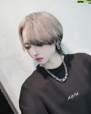 Shiki Aoki Instagram - @atsutoshi00 さんに髪の毛キレイキレイしてもらいました！
どんどん短くしたくなる🤤短いの楽すぎるんよなぁ
ウルフはウルフで好きだったからまた涼しくなってきたら伸ばすか悩む

#派手髪 #ショートカット #ハンサムショート 
#エンドカラー