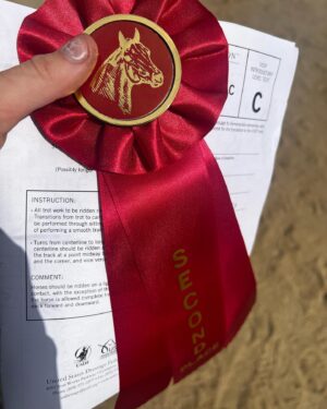 Shiloh Verrico Instagram - First Dressage Competition and I won second with my beautiful horse Flash! #horseshow #horseriding