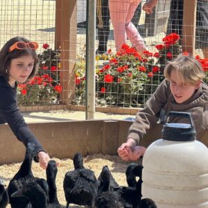 Shiloh Verrico Instagram - Such a fun Easter petting baby goats and ducks with my friend @lukebusey