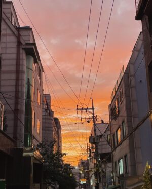 Shin So-hyun Instagram - 즐거운 추석 보내세요🌕