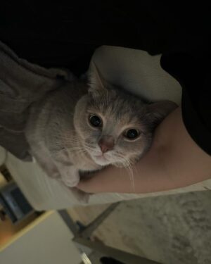 Shiny Yao Instagram - serotonin ↑↑