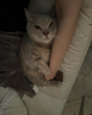 Shiny Yao Instagram - serotonin ↑↑