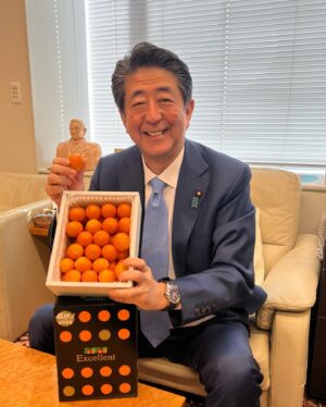 Shinzo Abe Instagram - 本日、安倍政権で農水大臣を務めた江藤拓議員が地元宮崎の皮ごと食べられるという完熟きんかんを事務所に届けてくれました。甘味と酸味のバランスもよく、ジューシーレベルは高得点!!
#宮崎完熟きんかん #ジューシー