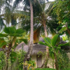 Shivani Ghai Instagram - Maldives photo dump