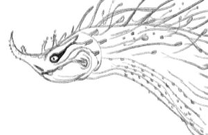 Shiyoon Kim Instagram - More early sketches of Red!

#theseabeast