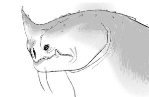 Shiyoon Kim Instagram - More early sketches of Red!

#theseabeast