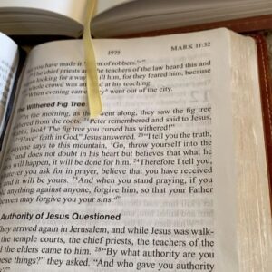 Shona Ferguson Instagram - Whatever you ask for in prayer, believe that you have received it, & it will be yours. And when you stand praying, if you hold anything against anyone, forgive them, so that your father in heaven may forgive you your sins. ~ Mark 11:24-25