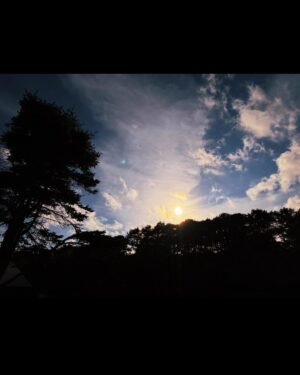 Shoot Mori Instagram - 北海道行った時の📸
最高だったまた行きたいなー！🏃🏼‍♂️