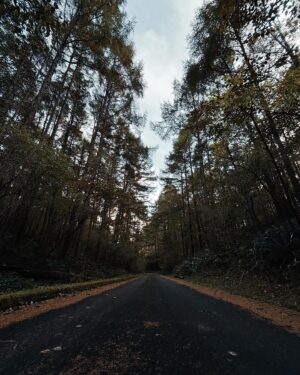 Shoot Mori Instagram - 北海道行った時の📸
最高だったまた行きたいなー！🏃🏼‍♂️