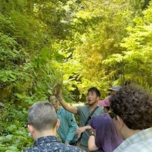 Shota Nakajima Instagram - From Tokyo to Osaka, this trip to Japan was unforgettable. Cooked with family in Yugawara, explored wasabi farms in Izu, and soaked in the beauty of Kyoto. Finishing up in Osaka with my chefs son’s spot. Special moments all around. 🇯🇵 #JapanAdventures @modernadventurists #MOADtravel