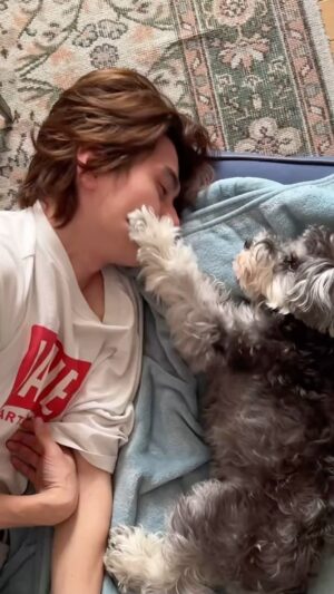Shuntaro Yanagi Instagram - vs 犬
