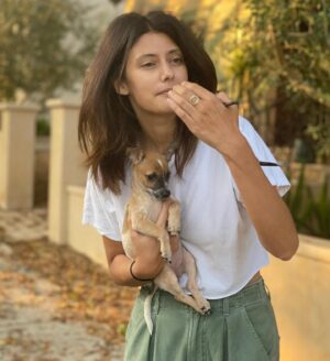Sibylla Deen Instagram - Frida 🦘 @tobiessmalldogrescue #fosteringsaveslives and breaks hearts ♥️.