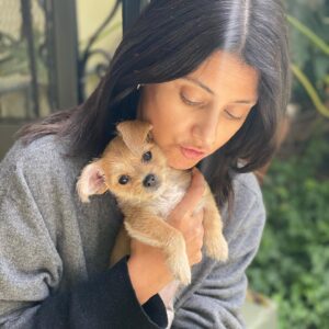 Sibylla Deen Instagram - Pee Wee 🐕 🐶🧸 ❤️☺️🐾 @tobiessmalldogrescue #adoptdontshop #fosteringsaveslives