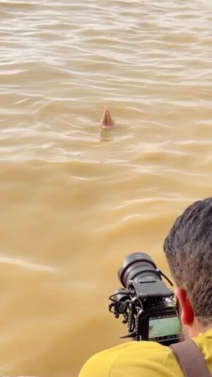 Siddharth Sharma Instagram - Believe in your infinite potential ✨ #harharganges ❤️🕉🎬