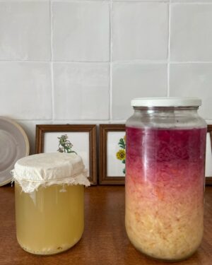 Sigrid ten Napel Instagram - Rijping en verzuring an egodocument on fermentation