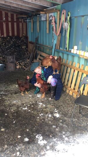 Silya Nymoen Instagram - Er så koselig å komme hjem 🐔❤️🐔
#chickenlady