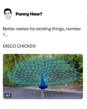 Silya Nymoen Instagram - Tusen takk for all kjærleik i forbindelse med ny låt! Jeg blir assa så glad for alle meldinger og delinger og gode vibber. Takk🥰 
Hilsen DiscoChicken 🦚

#dontdimmylight