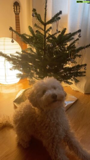 Simon Krätschmer Instagram - Schönen 2. Advent liebe Menschen. 🎄