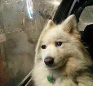 Simon Rex Instagram - Me when your mom ignores my texts