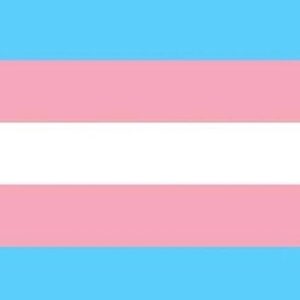 Simon Sherry-Wood Instagram - I support and stand with the trans community. Today & always. The latest political rhetoric is frightening. All allies on deck. Allow people to live in their divine truth 🦋🏳️‍⚧️🦋 #transisbeautiful