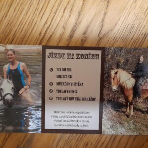 Simona Babčáková Instagram - Včera jsem měla mimořádný zážitek. Poprvé v životě jsem jela na koni. S Vaškem, který zachraňuje a odkupuje týrané koně anebo koně předčasně určené na porážku. A svou péčí jim dá tolik lásky, že ty koně zase důvěřují lidem. Doporučuji vřele. Když na koně, tak k Vaškovi. 🙂