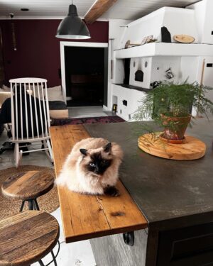 Simona Rýdlová Instagram - Serious Sunday Selfcare a 
jarňáky ve Finsku. Hodně sauny, ohně v krbu, mega zimy, karetních her, dobrých ryb a vzpomínek na dětství tady 👩‍👦🌲❄️🧖‍♀️
.
Neodkládejme věci na potom. Až budou děti větší, budeme mít víc času.. teď je ten čas. Pak bych to totiž na běžkách v -20 nemusela dát;)
.
#faceyogasimona #sss #familytime