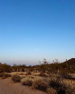 Simona Rýdlová Instagram - Arizona dream ☀️🌵🏜️🐎
posílám vám trochu pouště z Arizony
1. Grand Canyon 
2. je velkolepý, mnohem lepší ve skutečnosti než na fotkách, spadla mi brada, když jsem ho viděla
3. kdekoliv jsem, jdu jezdit, tohle byl splněný sen
4. Na kajaku, jezero Pleasant
5. 300 let staré kaktusy
6. Hlídám 2 psy
7. Kajak na jezeře Prescott
8. Taky hlídám kočku
9. Západy slunce v poušti
10. Kovbojky, taky jedny mám, no

Teď se na pár dní odmlčím a jdu jen meditovat a praktikovat jógu, abych se stále posouvala dál a mohla dávat víc i vám ♥️.

#faceyogasimona #meditace #joga #faceyoga #sebepece #rozvoj #mametovrukou #arizona
