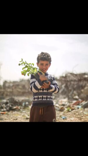 Sinan Albayrak Instagram - Şehit edilen şair #refaatalareer in şiiri. #gaza kurgu @_kdrcncftc_ #Saynotogenocide because Palestinians are a community that has been expelled from their homeland and has been subjected to historical oppression by Israel.