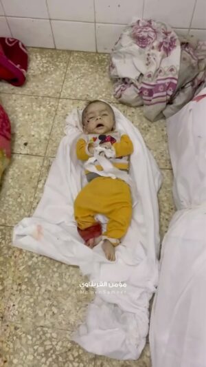 Sinan Albayrak Instagram - #gaza #gazze #mcdonalds #starbucks #cocacola izlemeye ve yemeye içmeye devam edenler..