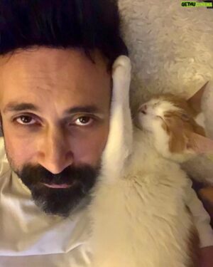 Sinan Çalışkanoğlu Instagram - Obi bey 😻🧿 #kedicilikkazanacak