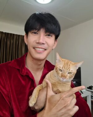 Sivakorn Lertchuchot Instagram - ลูฟี่คนคูลๆ 😚😚😚

#ลูฟี่เป็นแมวส้ม
#ลูฟี่ลูกป๊ากาย