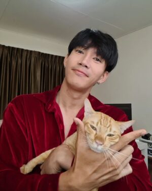 Sivakorn Lertchuchot Instagram - ลูฟี่คนคูลๆ 😚😚😚

#ลูฟี่เป็นแมวส้ม
#ลูฟี่ลูกป๊ากาย