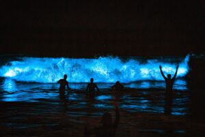 Skyler Gisondo Instagram - BIOLUMINESCENCE 📸: @playaneil